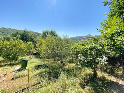 Maison - 110 m² - 3 pièces