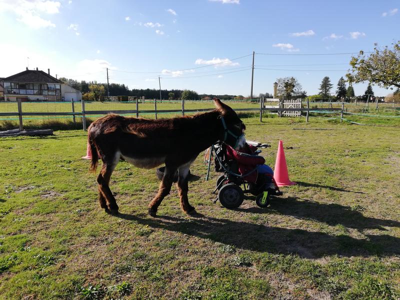 Atelier Petit fermier pour l'enfant différent
