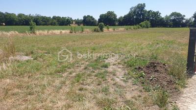 Terrain agricole - 5 685 m²