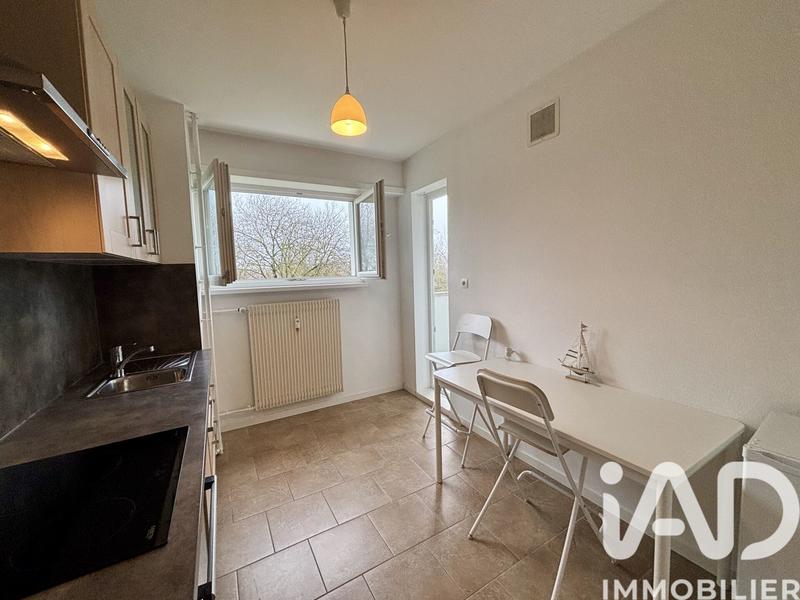 Appartement - 50 m² - 2 pièces