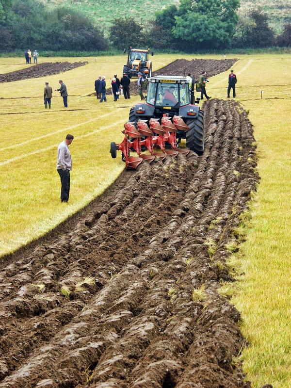 Concours de Labour  de Tracteurs Anciens