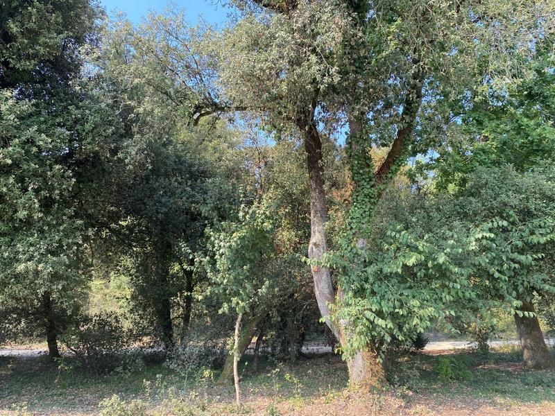 Maison - 70 m² - 4 pièces