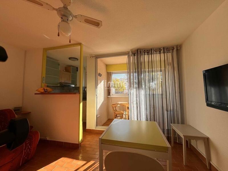 Studio - 24 m² - 1 pièce