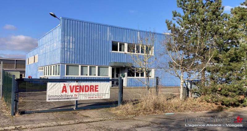 Local d'activité / Entrepôt - 600 m²