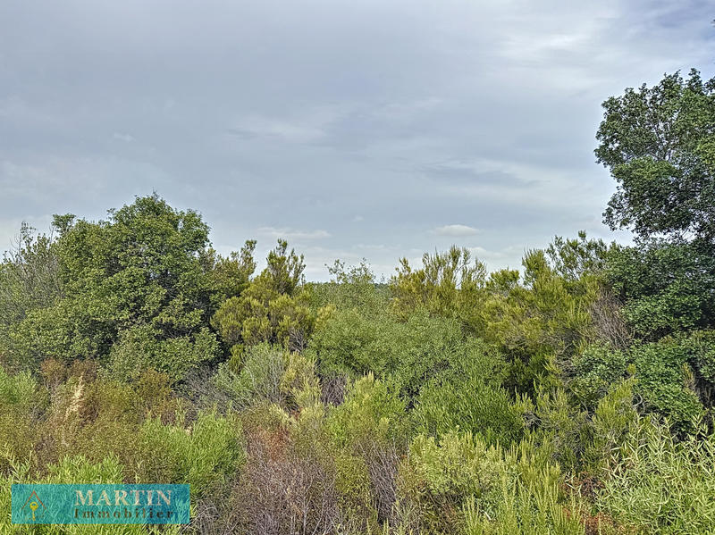 Terrain de loisirs - 24 490 m²