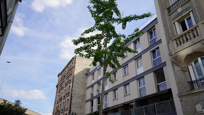 Appartement - 83 m² - 4 pièces