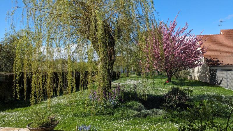 Pavillon - 145 m² - 5 pièces