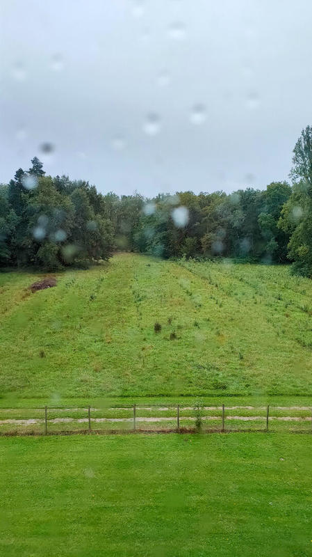 Demeure - 13 pièces