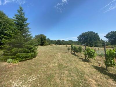 Maison - 35 m² - 1 pièce