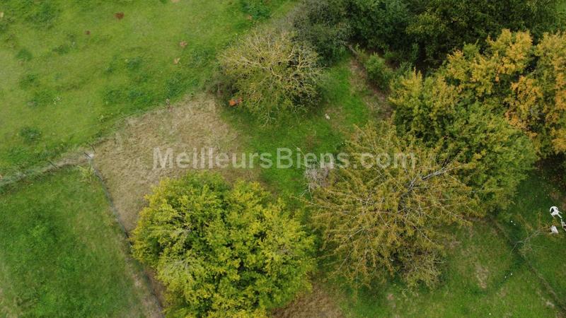 Terrain - 656 m²