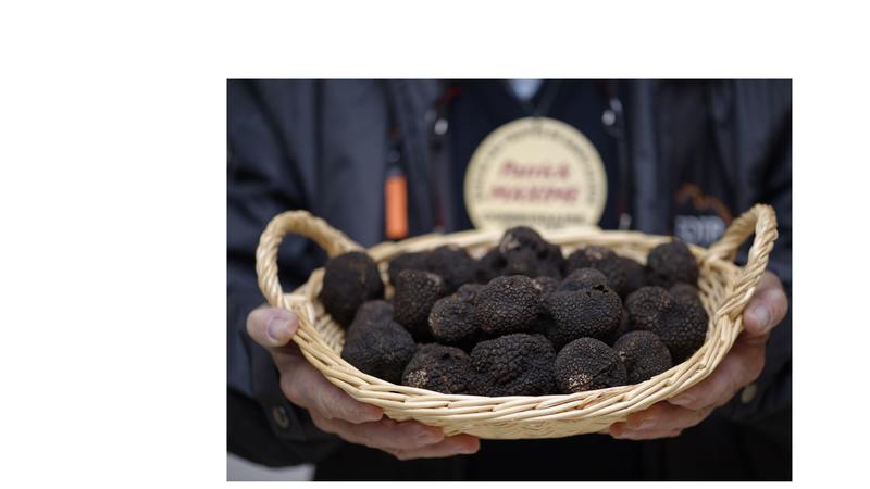 Marché aux truffes - Dimanches matins Décembre et janvier - Sorges