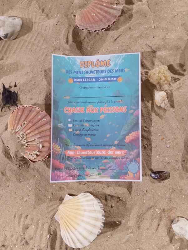 Activité enfant - Chasse aux poissons