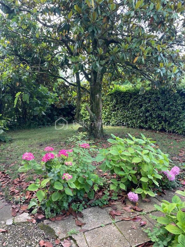 Maison ancienne - 231 m² - 7 pièces