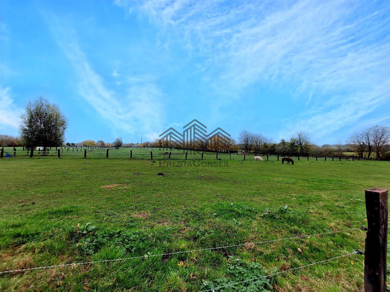 Propriété - 272 m² - 7 pièces