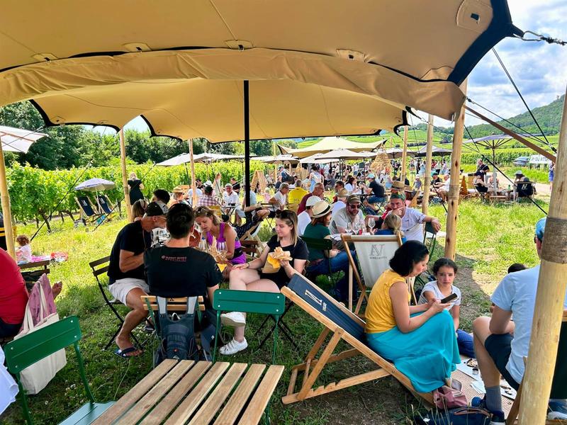 Alsace Rocks ! La Tournée des Terroirs - Etape #7