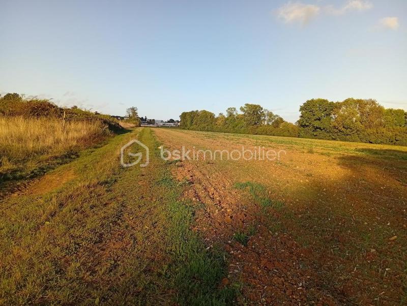 Terrain agricole - 19 960 m²