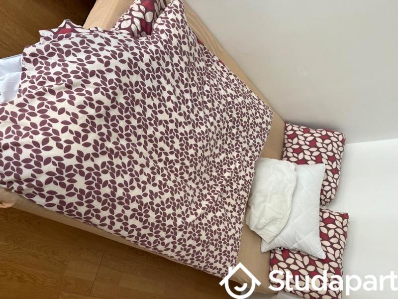 Chambre - 58 m² - 1 pièce