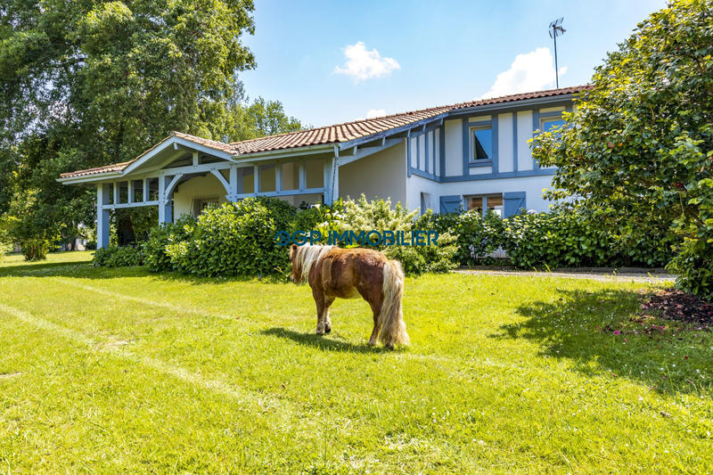 Maison - 214 m² - 6 pièces