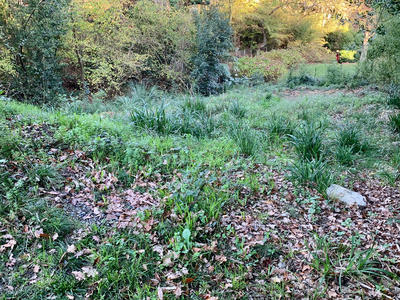 Terrain constructible - 661 m²