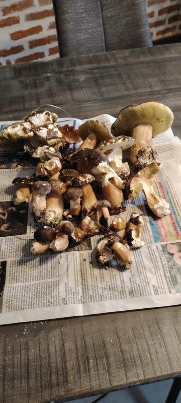 Maison - 210 m² - 7 pièces