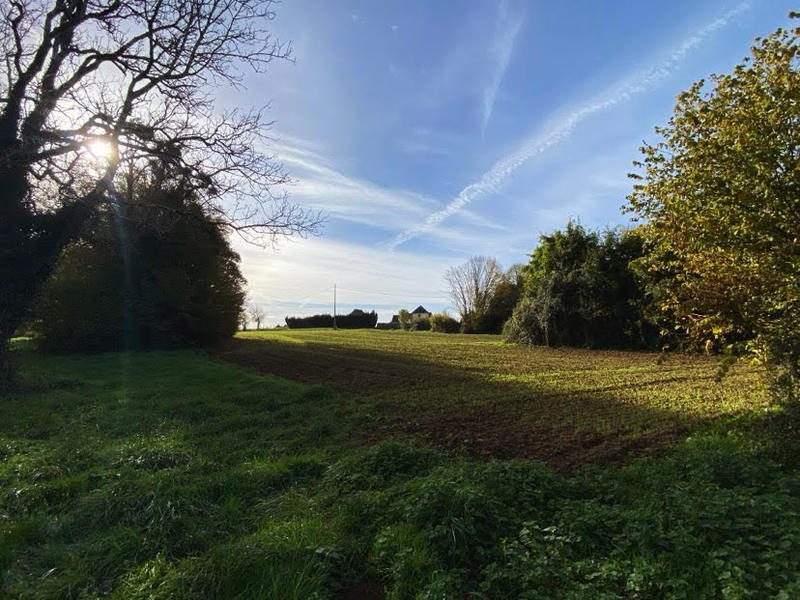 Maison - 50 m² - 1 pièce