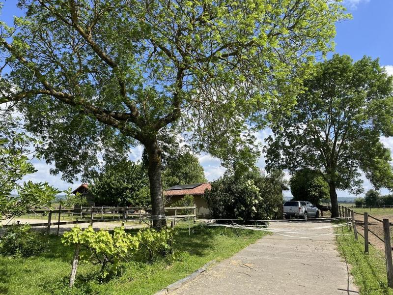 Propriété - 228 m² - 7 pièces