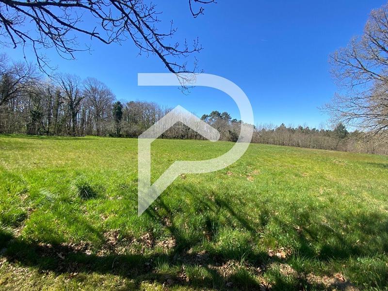 Maison - 141 m² - 6 pièces