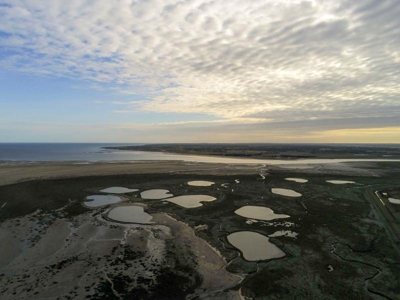 Croquis de terrain en baie des Veys