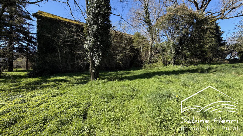 Maison ancienne - 207 m² - 5 pièces