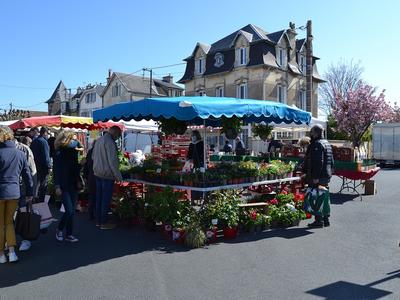 Marché hebdomadaire de Saint-Aubin-sur-mer