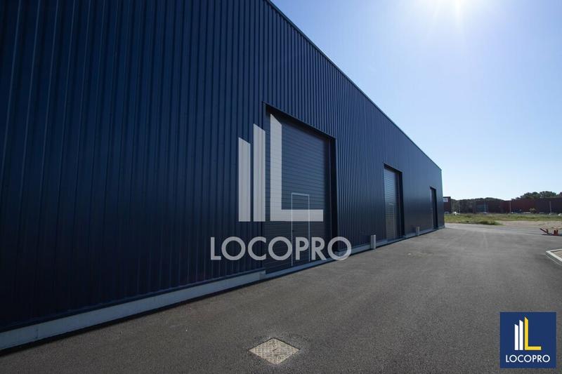 Local d'activité / Entrepôt - 1 255 m²