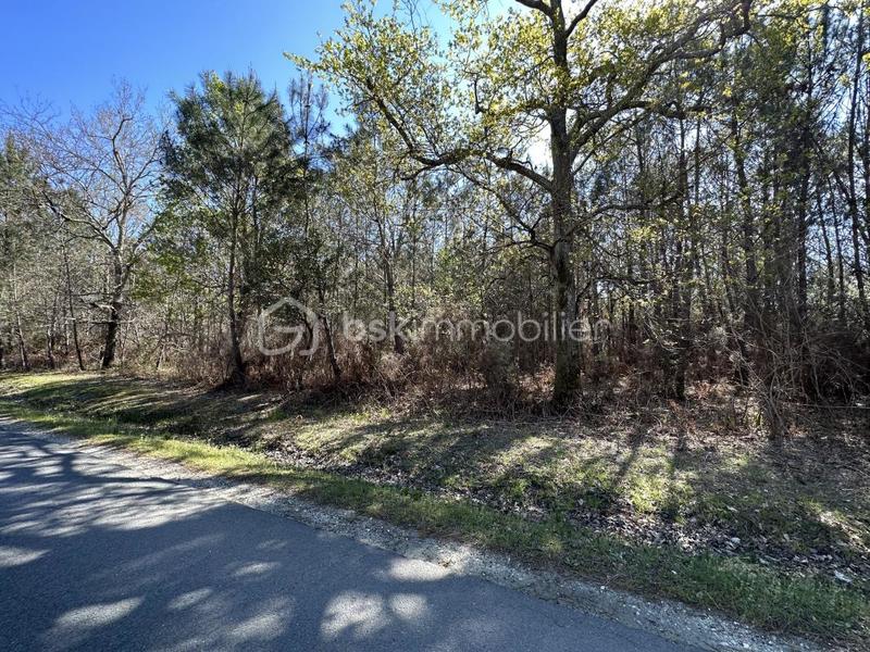 Terrain de loisirs - 31 450 m²