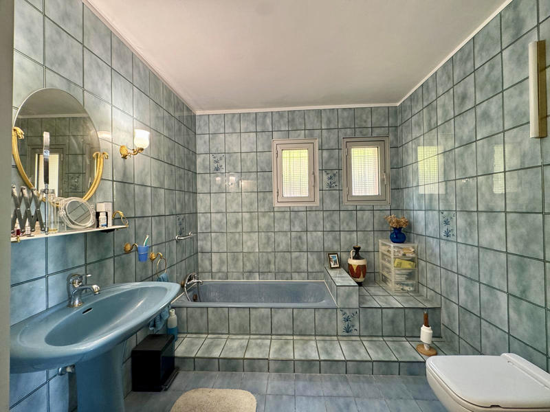 Maison - 250 m² - 5 pièces