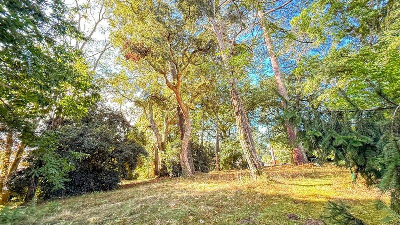 Propriété - 500 m² - 22 pièces