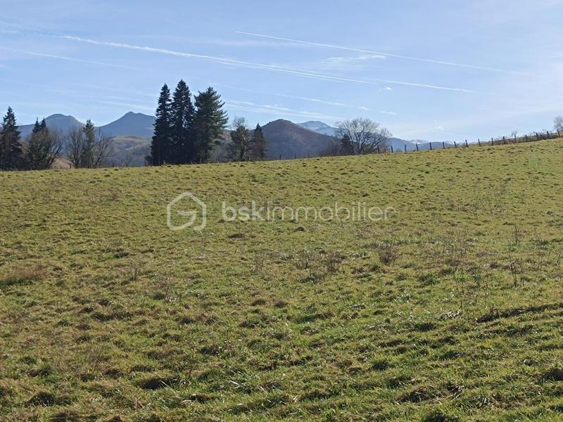 Terrain - 1 230 m²