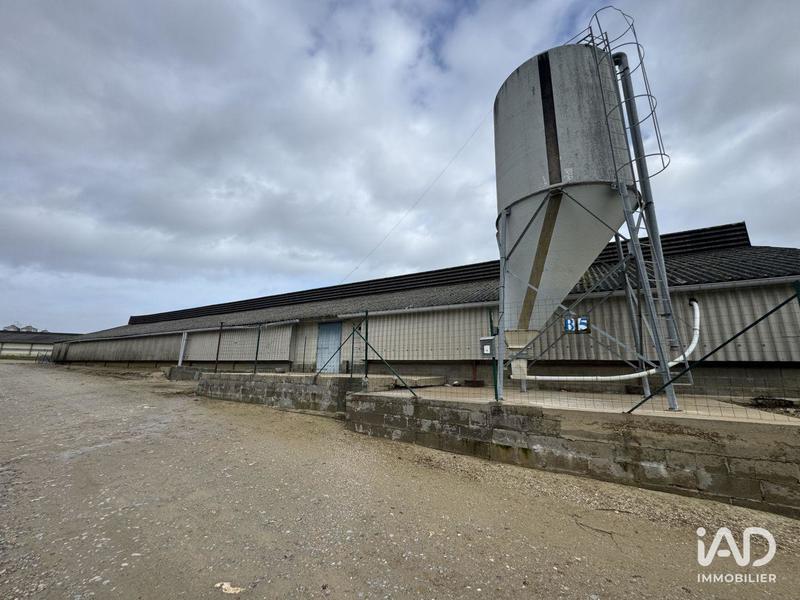 Local commercial - 2 250 m²