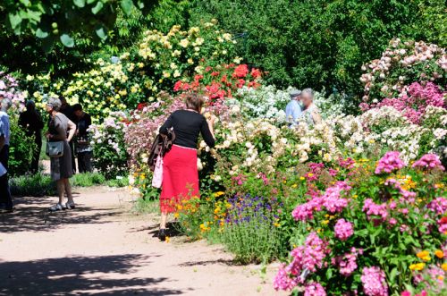 Jardin aux Plantes Parfumées