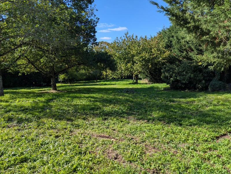 Maison - 65 m² - 3 pièces