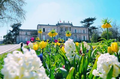 Appartement - 81 m² - 3 pièces