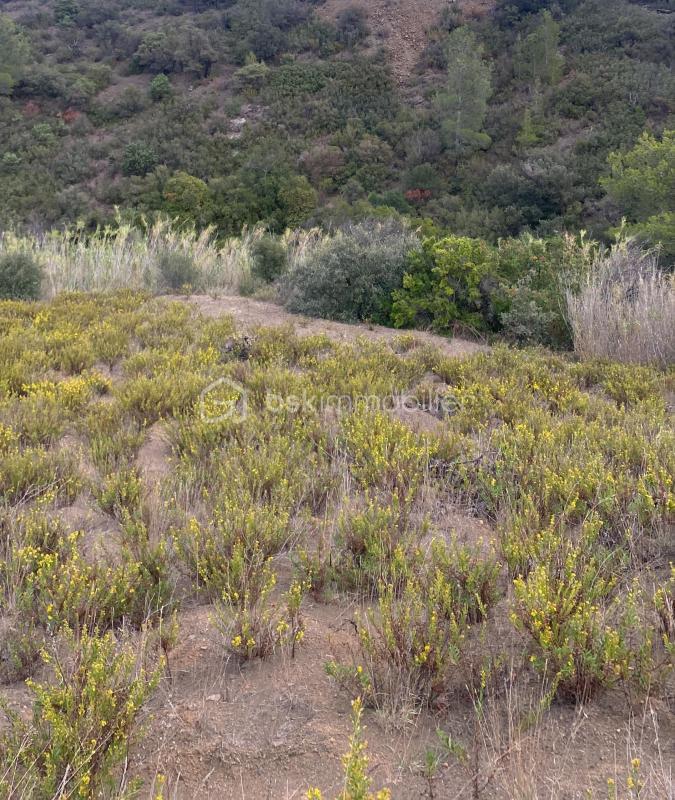 Terrain agricole - 3 425 m²