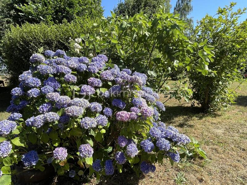 Maison en pierre - 107 m² - 5 pièces