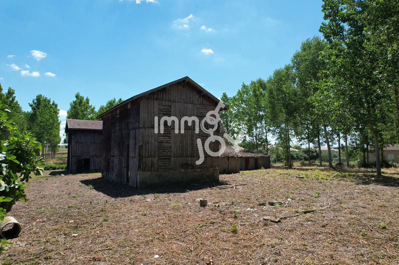 Maison - 140 m² - 2 pièces