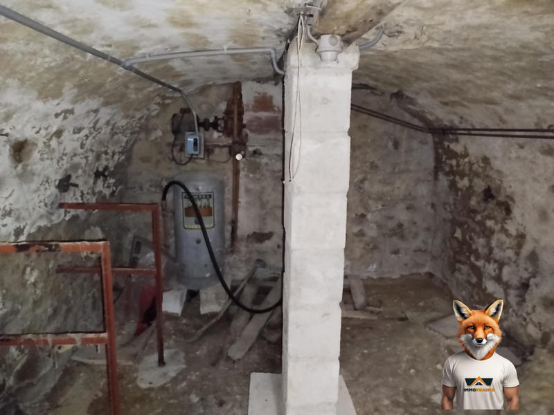 Maison ancienne - 140 m² - 5 pièces