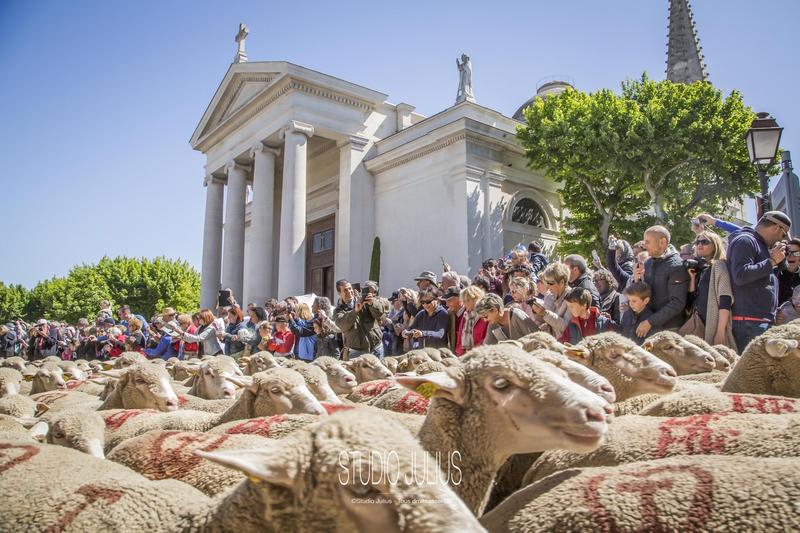Fête de la Transhumance 2026
