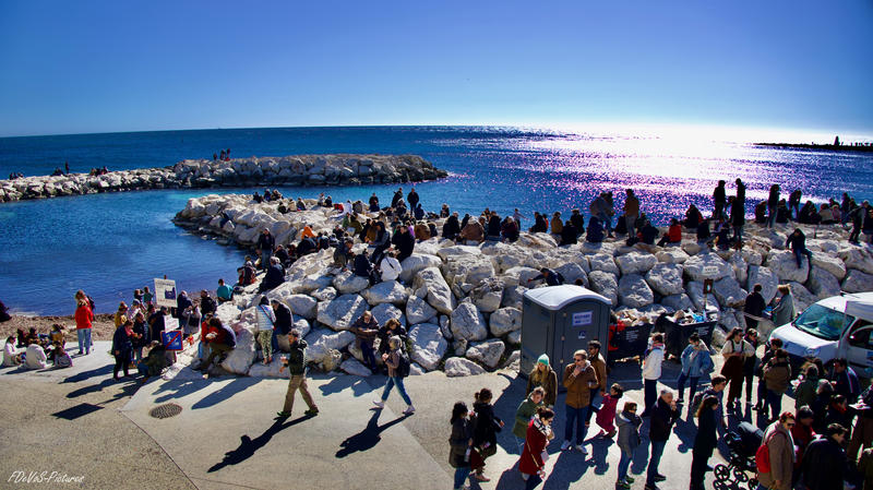 Les Oursinades de Carry-le-Rouet