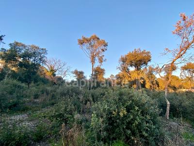 Terrain constructible - 850 m²