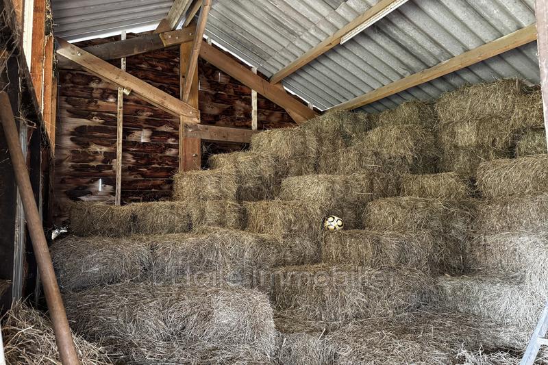 Terrain agricole - 1 600 m²