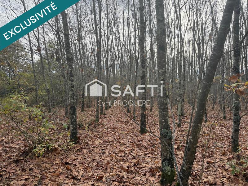 Terrain agricole - 14 165 m²