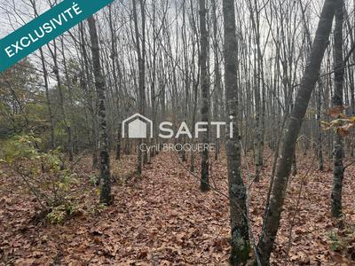 Terrain agricole - 14 165 m²