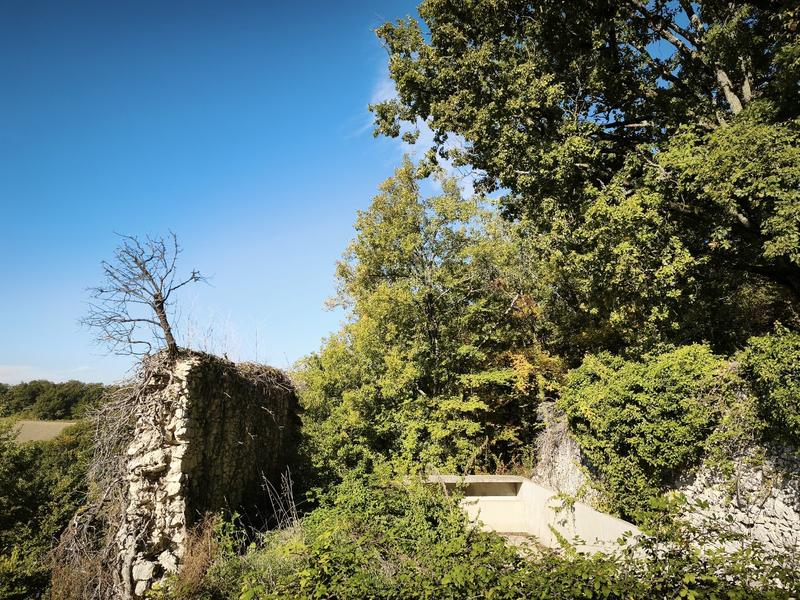 Terrain constructible - 7 424 m²